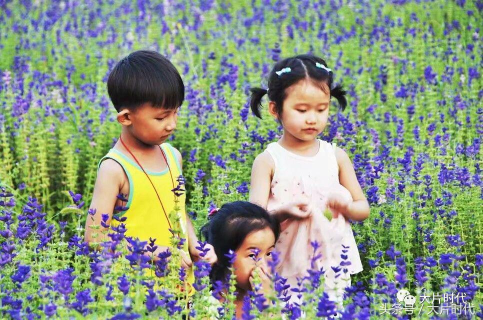 美丽中国摄影片段,38集美丽中国