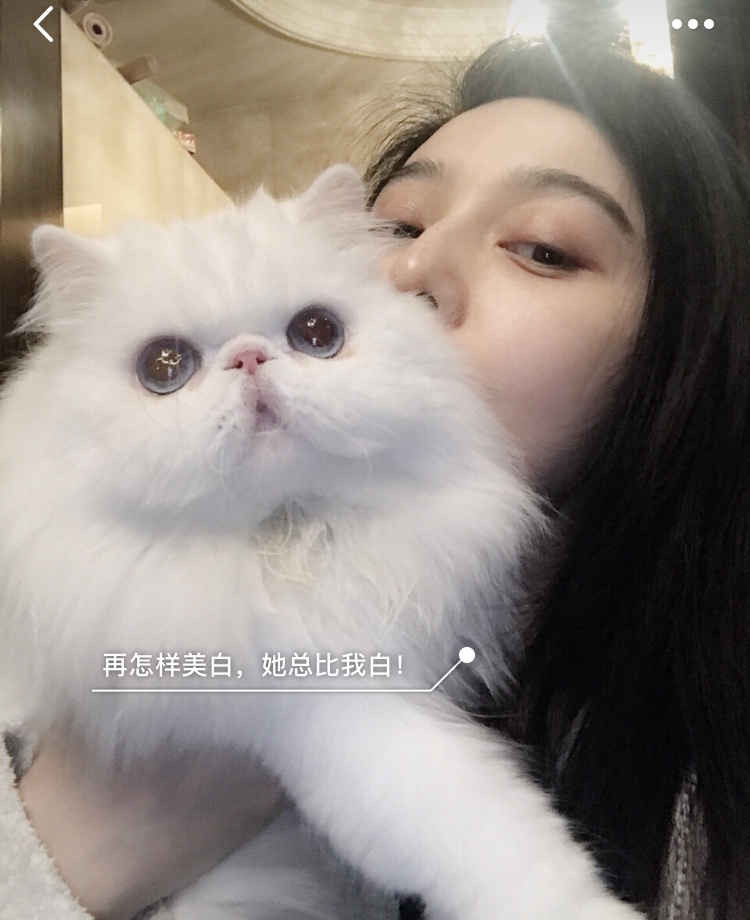 小红书范冰冰地址,小红书范冰冰值得关注的理由