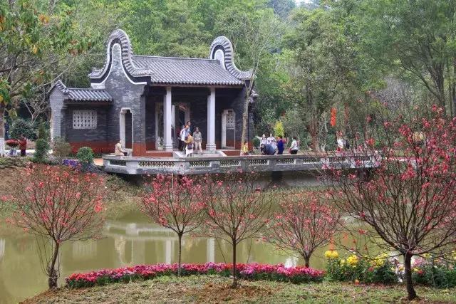 还没看的景点,大夫山最美风景