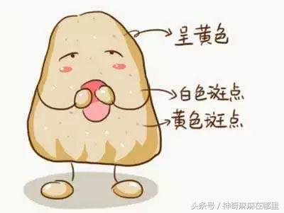 婆婆别让坐月子变成酷刑,谁说坐月子是一种享受