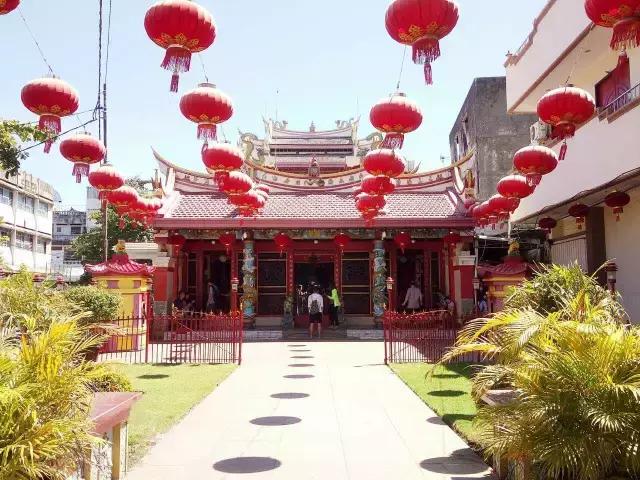 美娜多11月,为你还原真实燕窝