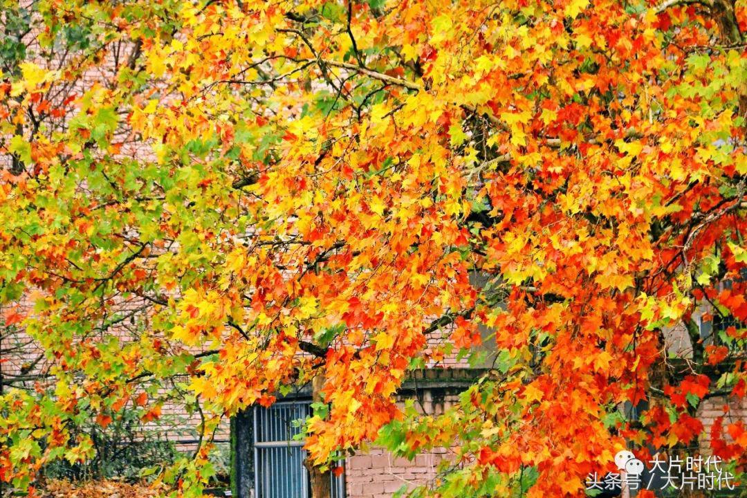 美丽中国摄影片段,38集美丽中国