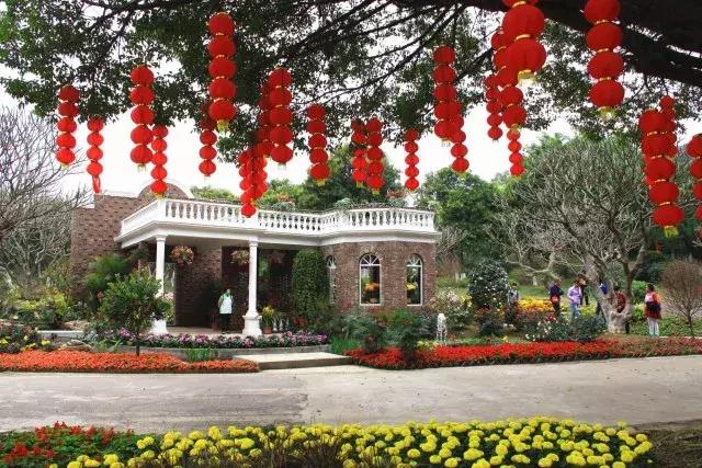 还没看的景点,大夫山最美风景