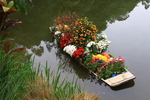 还没看的景点,大夫山最美风景