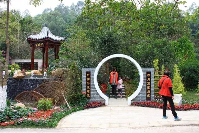 还没看的景点,大夫山最美风景