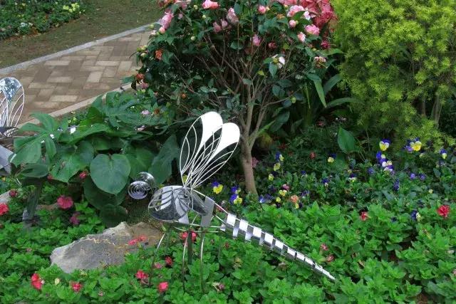 还没看的景点,大夫山最美风景