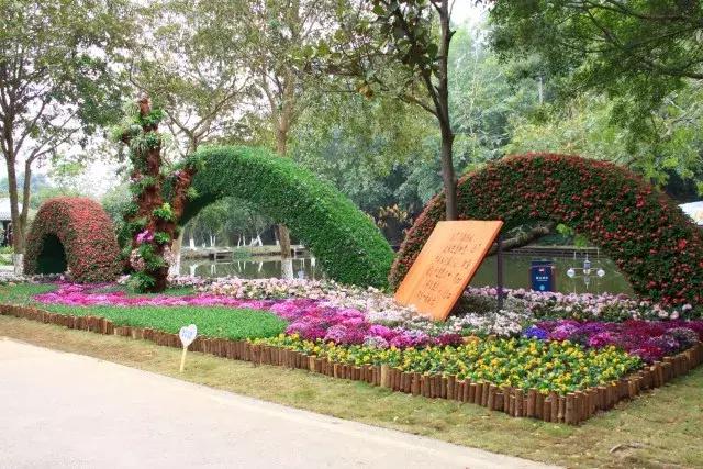 还没看的景点,大夫山最美风景