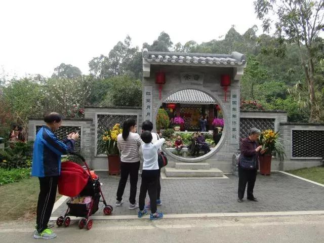 还没看的景点,大夫山最美风景