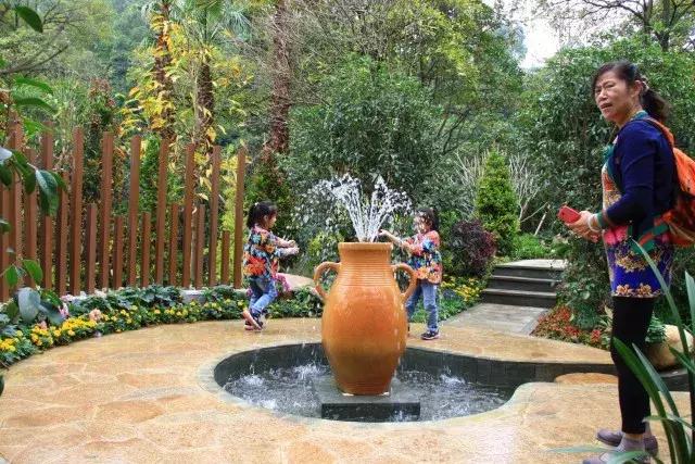 还没看的景点,大夫山最美风景