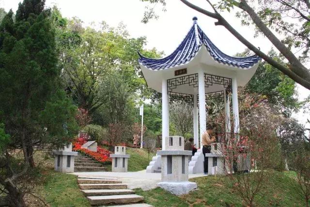 还没看的景点,大夫山最美风景
