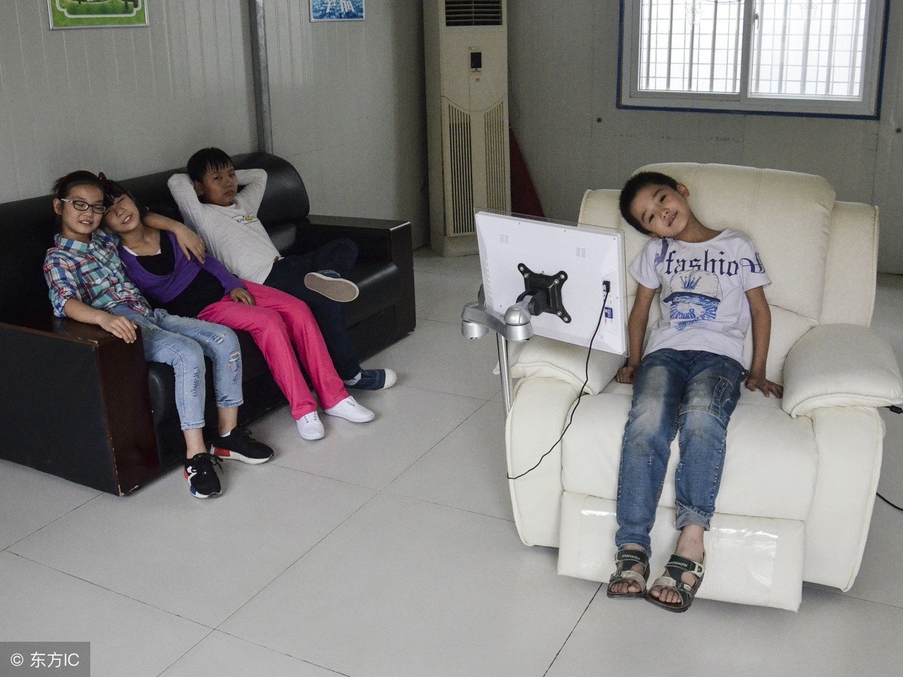 壁虎的知识有哪些,壁虎知识