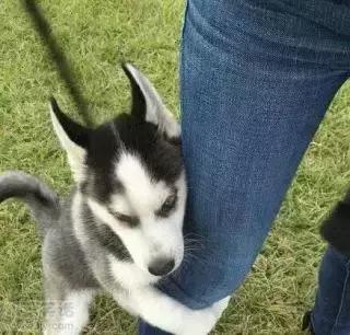 怎么看hr专不专业,怎么看hr有没有好好上班