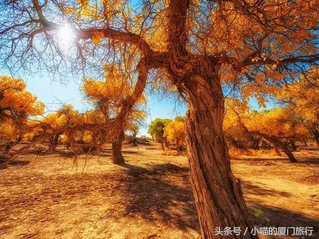 最值得去的52个旅行地,80个最值得一去的旅游胜地