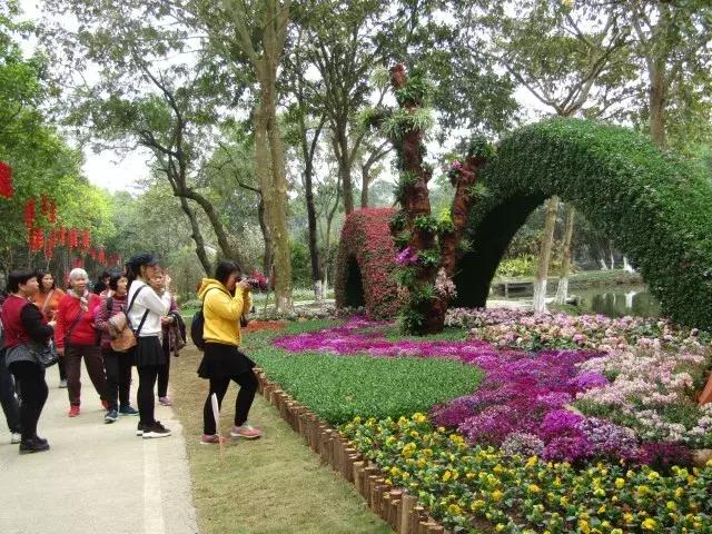 还没看的景点,大夫山最美风景
