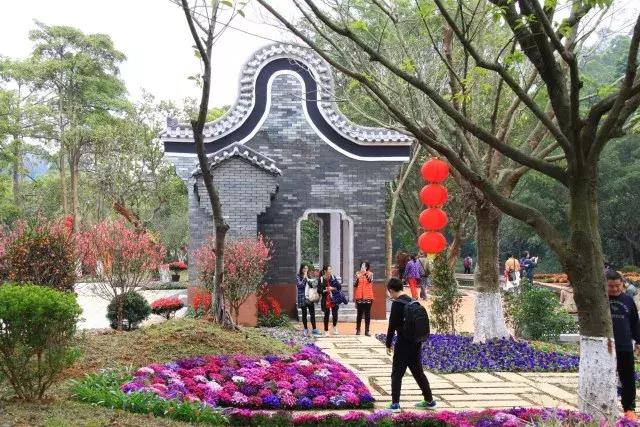 还没看的景点,大夫山最美风景