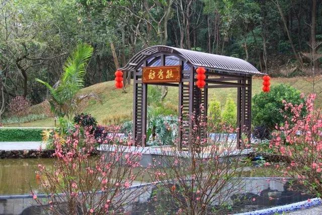 还没看的景点,大夫山最美风景