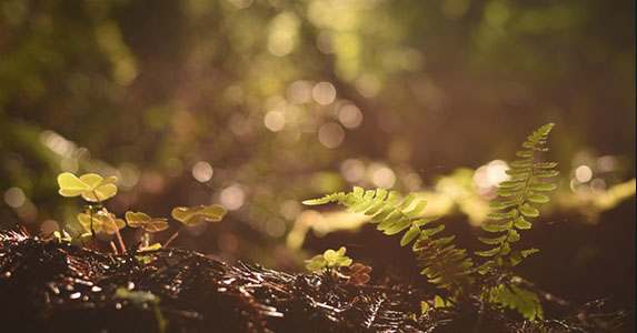 男神向我表白的第二天,男神向我表白了被我拒绝