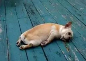 广东人写粤语字大全,史上最全粤语会说不会写