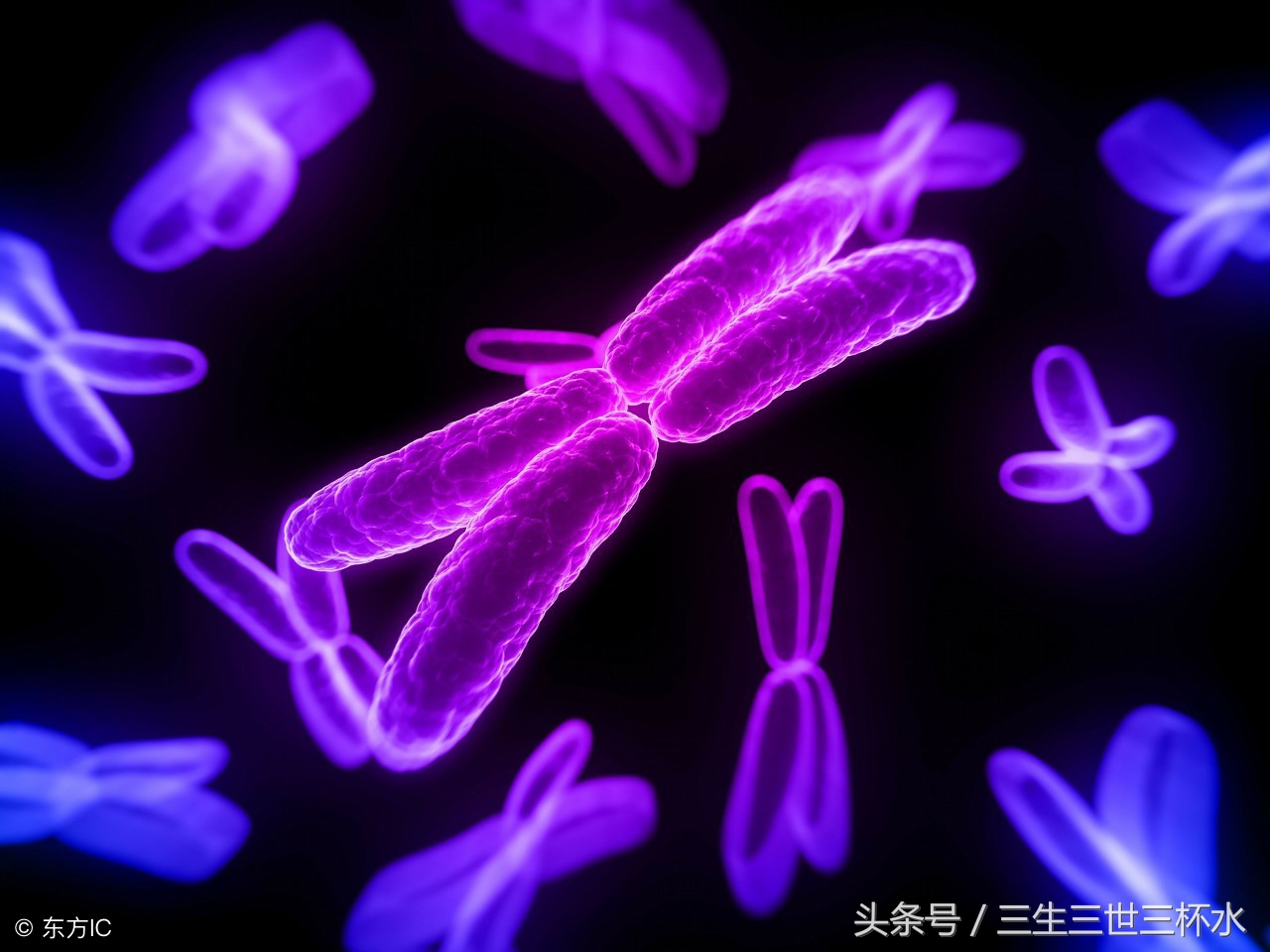 唐筛18临界风险有必要做无创dna吗,孕妈妈唐筛结果正常