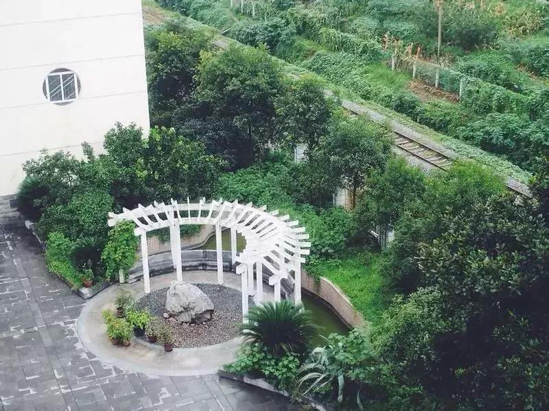 生活在宜昌是怎样一种体验,在宜昌一中读书是怎样的感觉