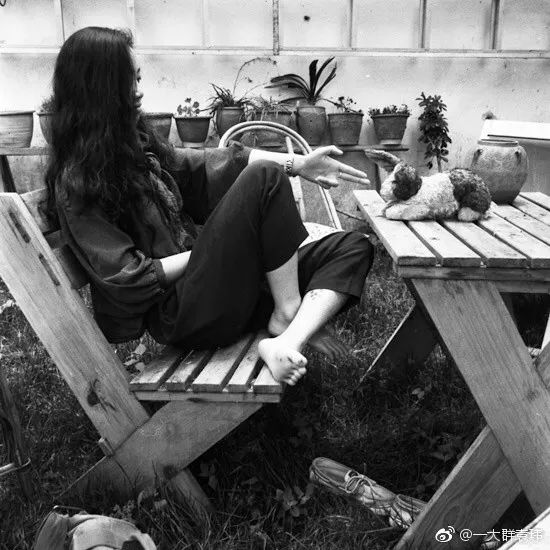 吹手报告|那些不上班的写作者