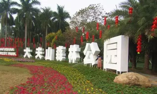 还没看的景点,大夫山最美风景