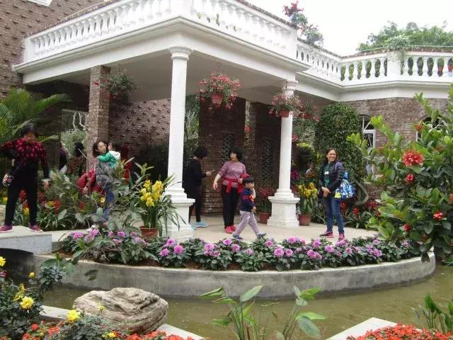 还没看的景点,大夫山最美风景