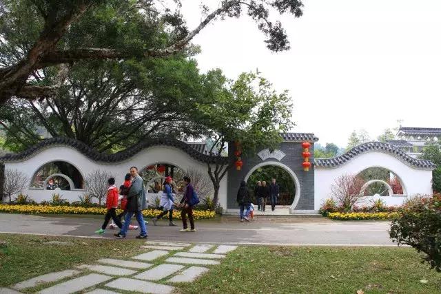 还没看的景点,大夫山最美风景