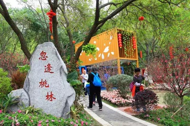 还没看的景点,大夫山最美风景