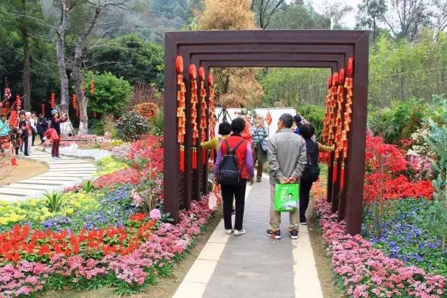 还没看的景点,大夫山最美风景
