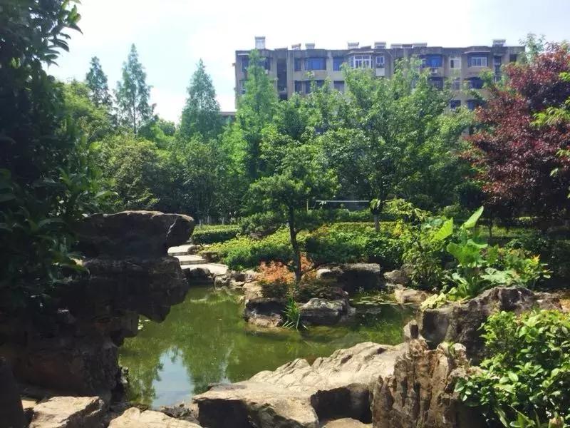 生活在宜昌是怎样一种体验,在宜昌一中读书是怎样的感觉