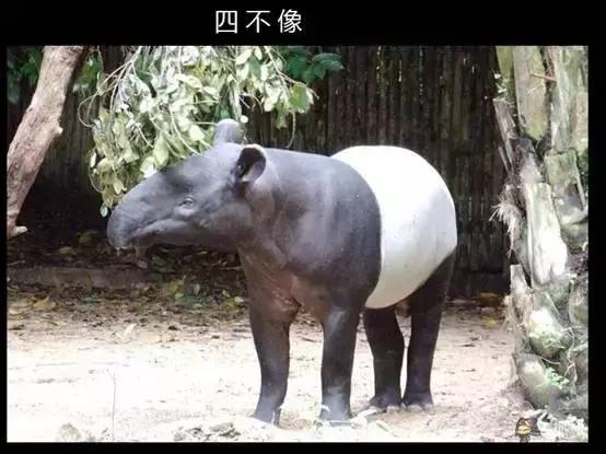 怎么看hr专不专业,怎么看hr有没有好好上班