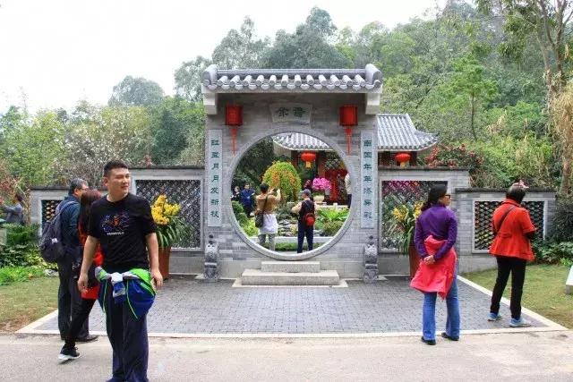 还没看的景点,大夫山最美风景