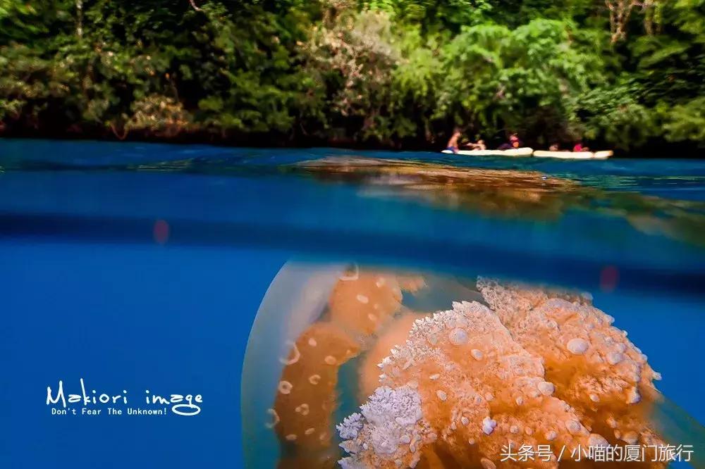 最值得去的52个旅行地,80个最值得一去的旅游胜地