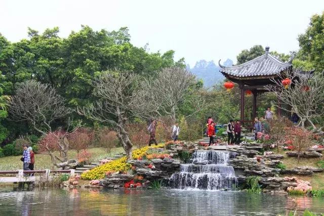 还没看的景点,大夫山最美风景