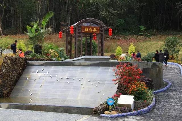 还没看的景点,大夫山最美风景