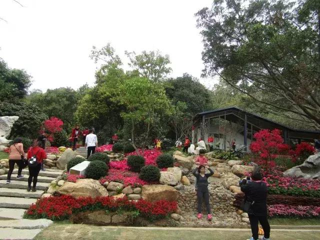 还没看的景点,大夫山最美风景