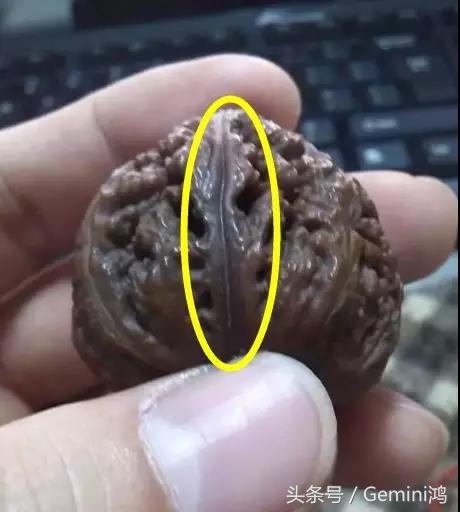 核桃裂了怎么办,核桃裂了胶水修复