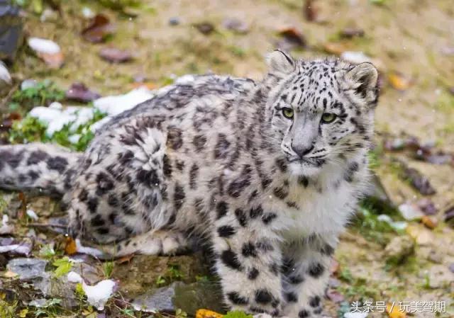 在西宁住哪里的民宿比较好,西宁民宿推荐