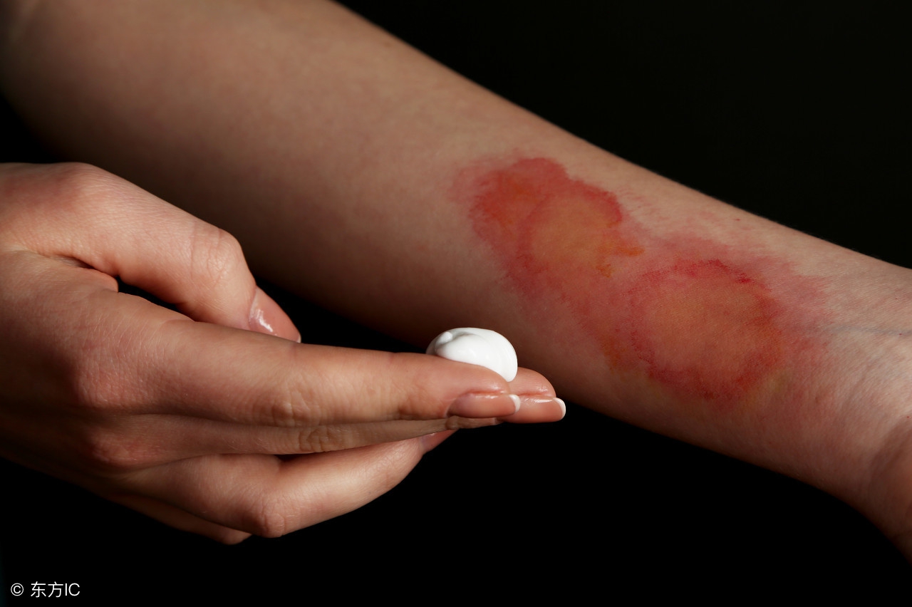 壁虎的知识有哪些,壁虎知识