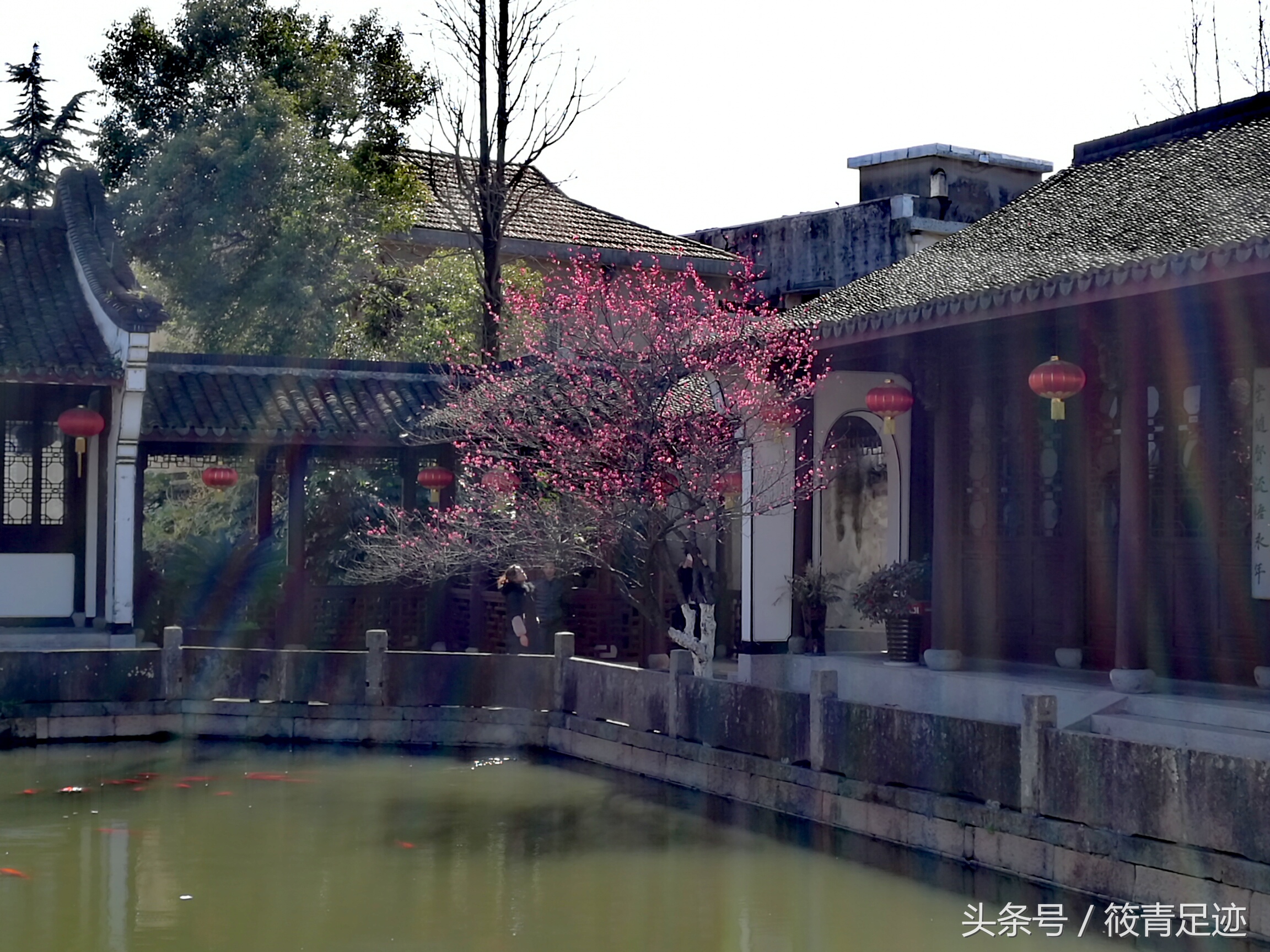 偶遇苏州同里古镇,偶遇古村落