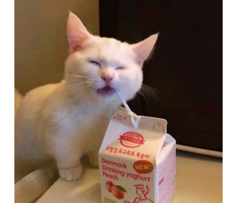 【干货】如何判断家中母猫是否急于脱单