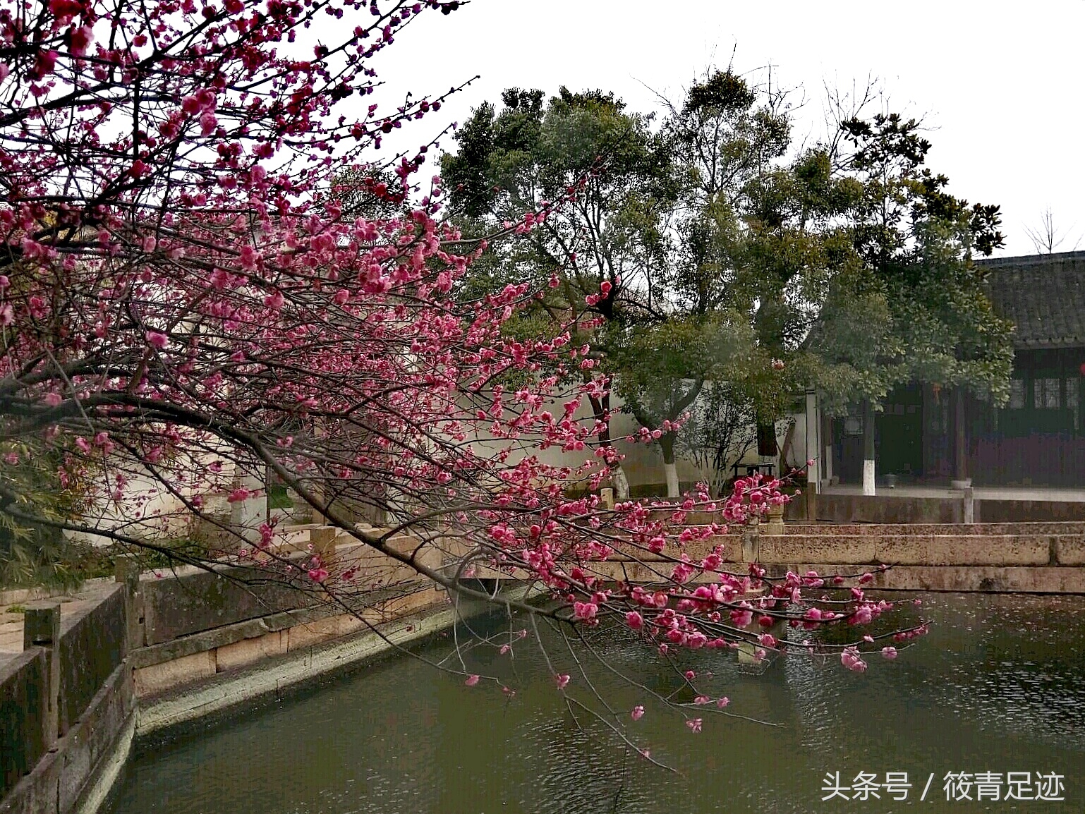 偶遇苏州同里古镇,偶遇古村落