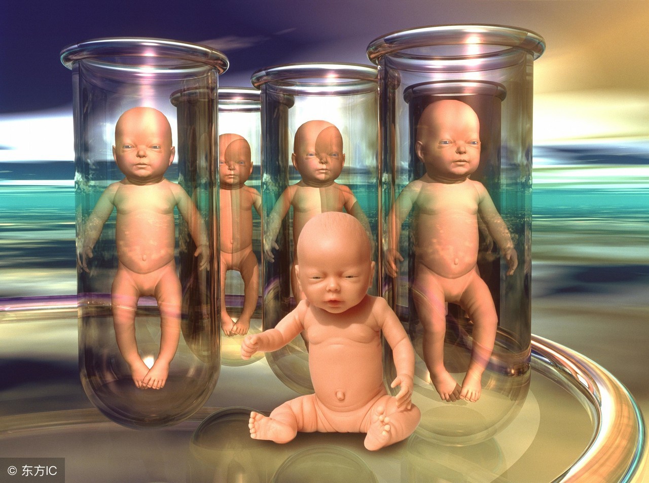 试管怀孕6周,一代试管婴儿胚胎的形成全过程