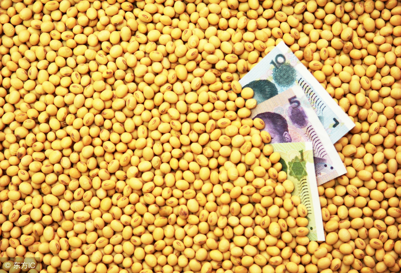 浅谈大豆,我爱农作物