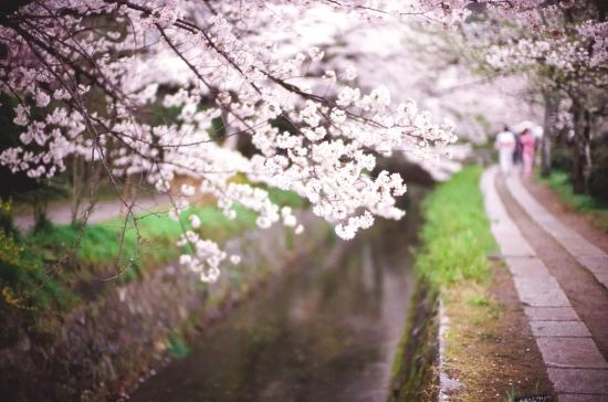 中国学生教训日本留学生原视频,日本留学生打工的建议