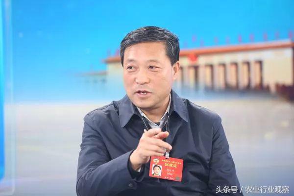 近期粮价下跌是怎么回事还会涨吗,粮价未来走势如何