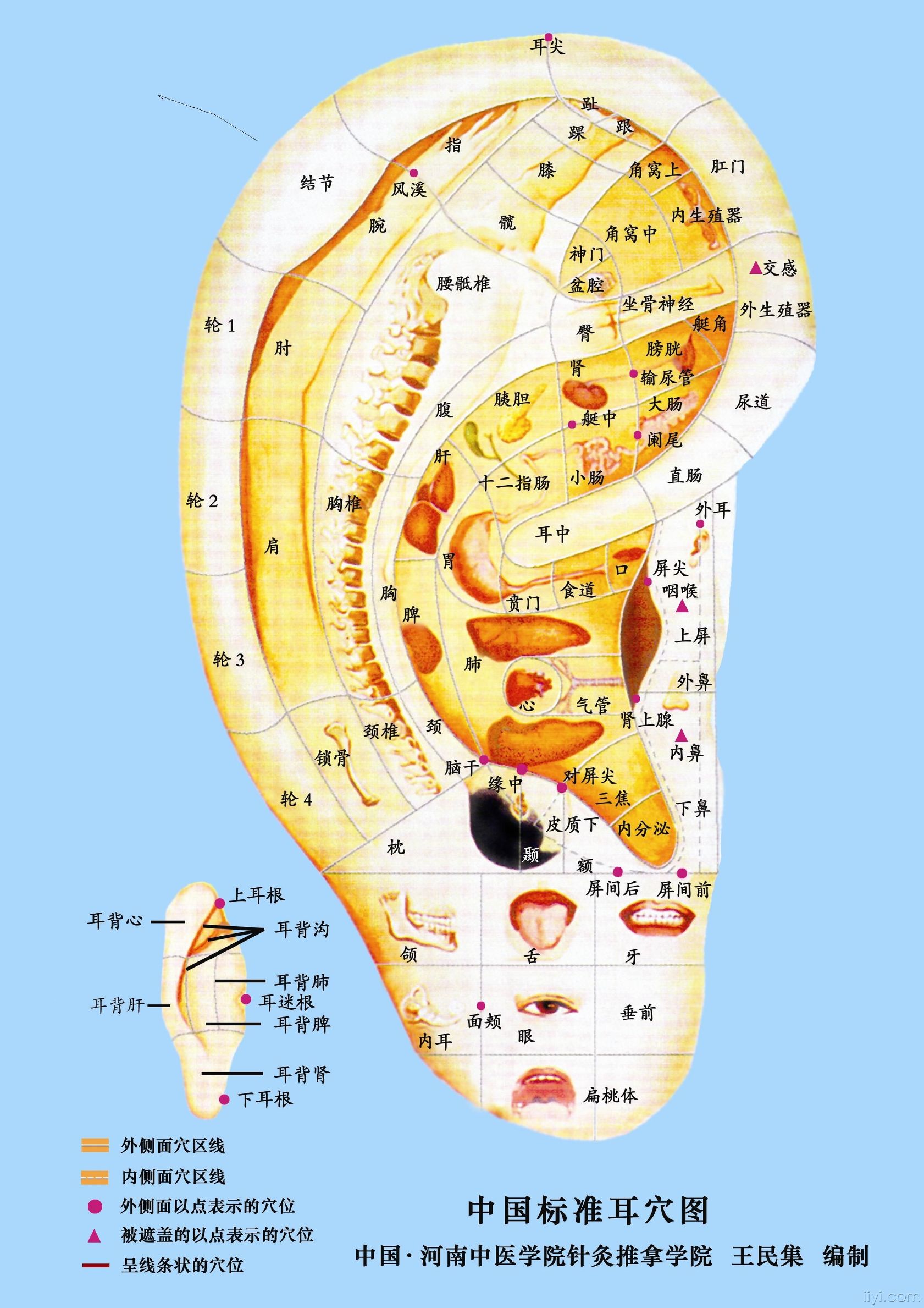 中医外治法治疗功能性消化不良,消化不良中医干预方案