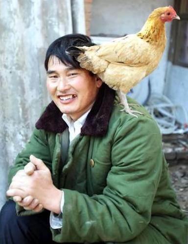 山东gdp是不是很高,山东总gdp为什么那么高