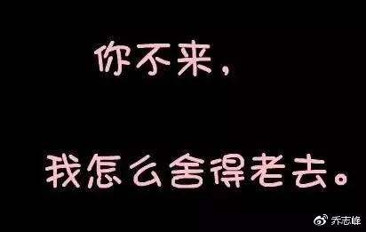 魔都79年“小姑娘”征婚，俺要应征！